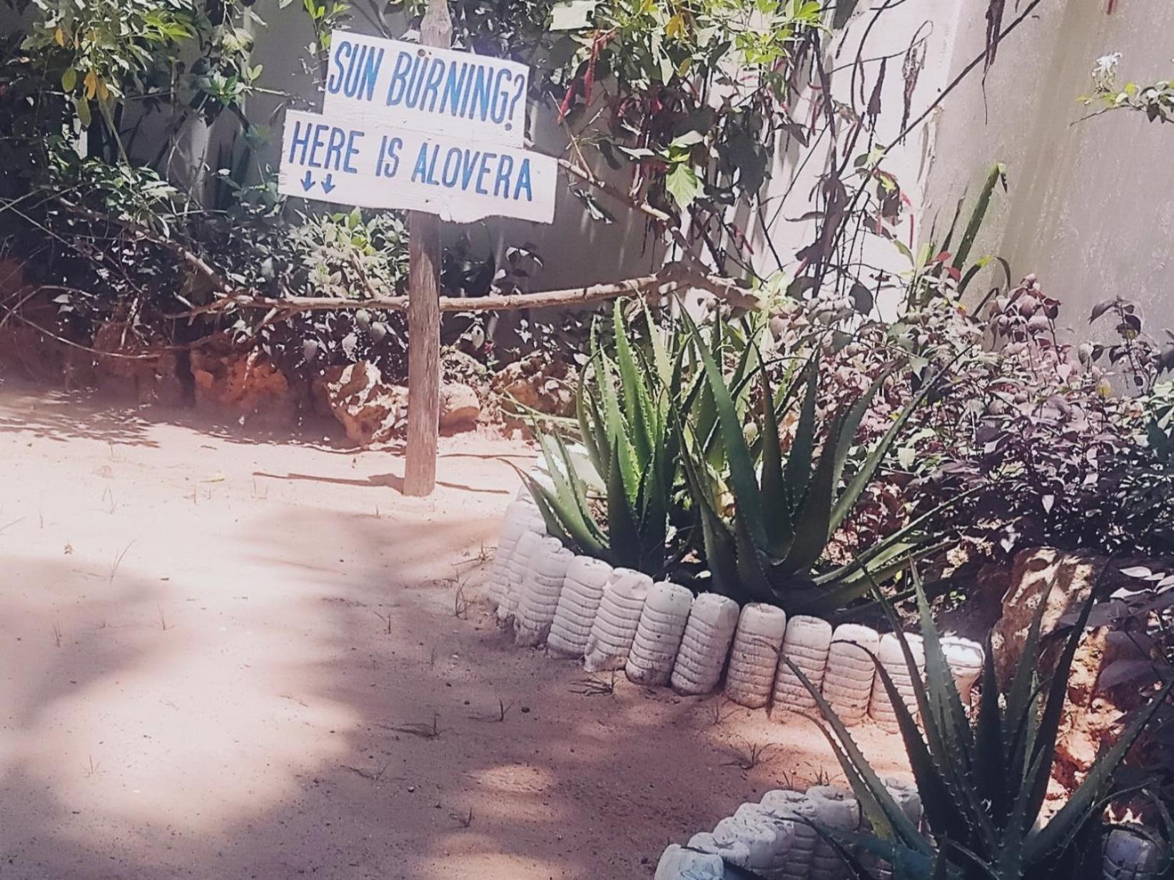 Hotel Maua Beach à Kizimkazi Extérieur photo